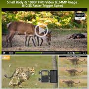 Wildlife Camera Game Cam 24MP 1080P avec vision nocturne 42pcs LED infrarouges Distance de déclenchement jusqu'à 20m Angle de détection de 120° pour la chasse